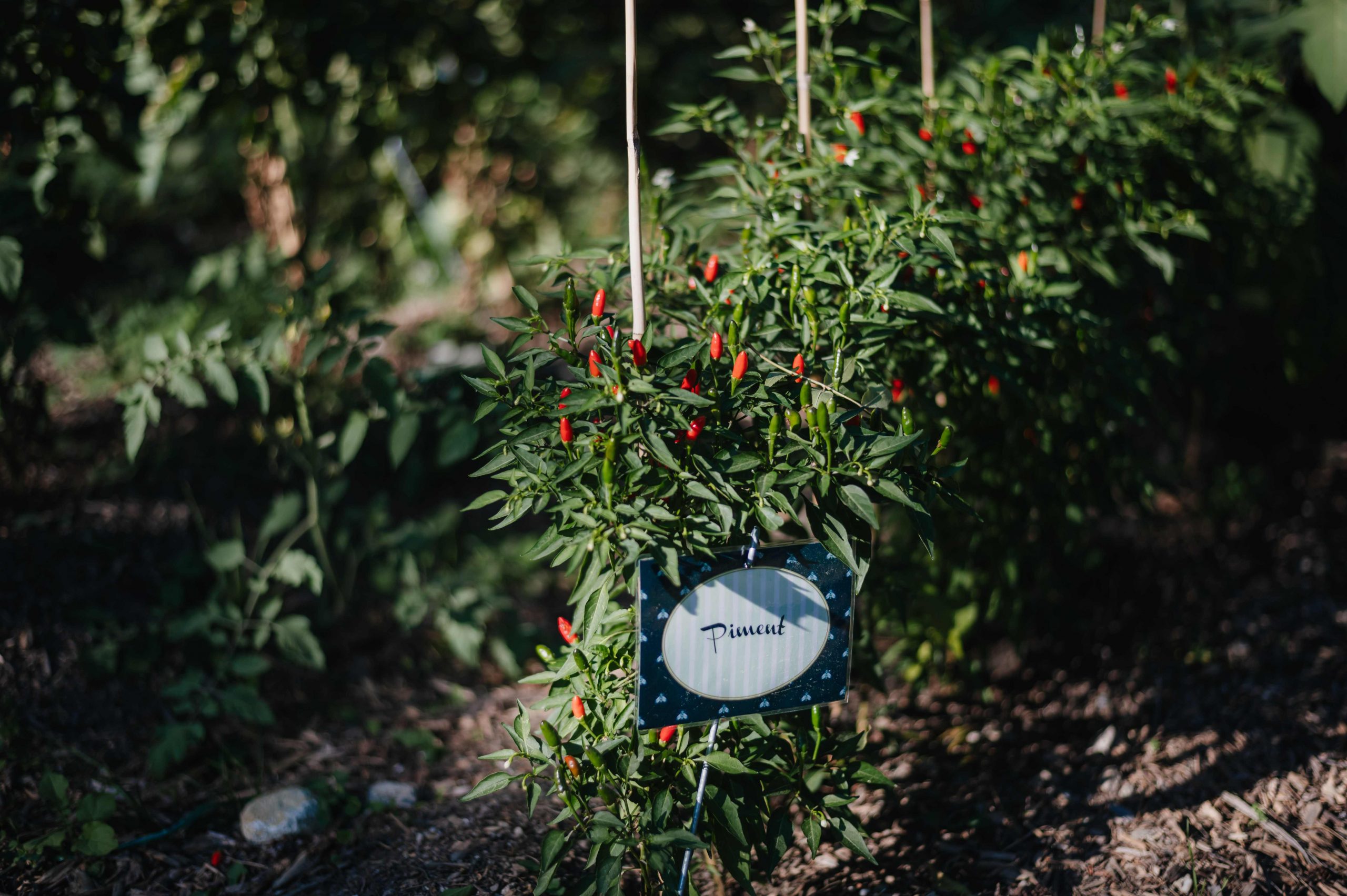 potager du domaine